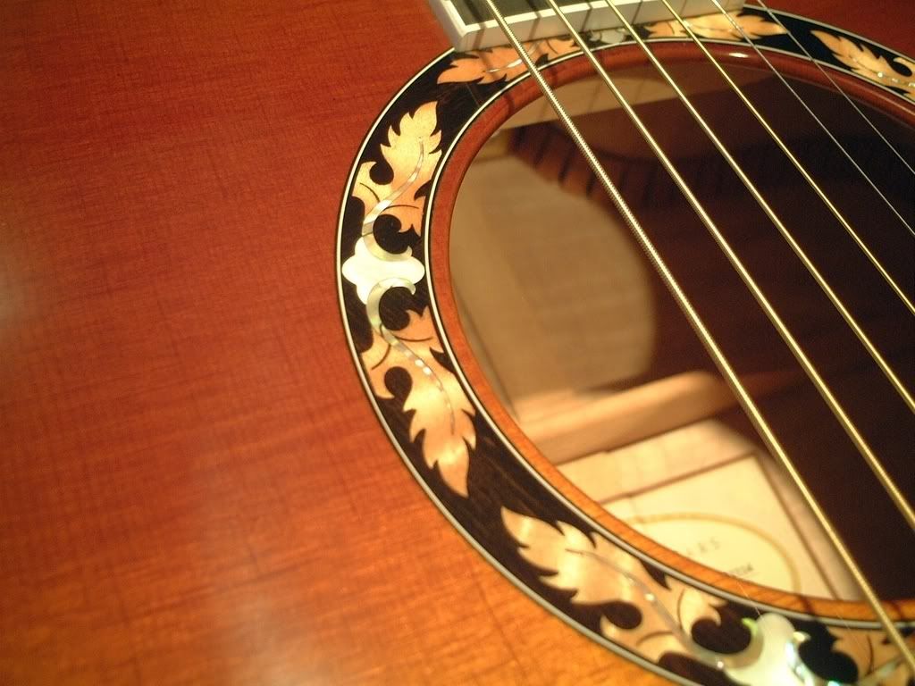 Yamaha Acoustic Guitar Serial Number Lookup strongdownloadpulse